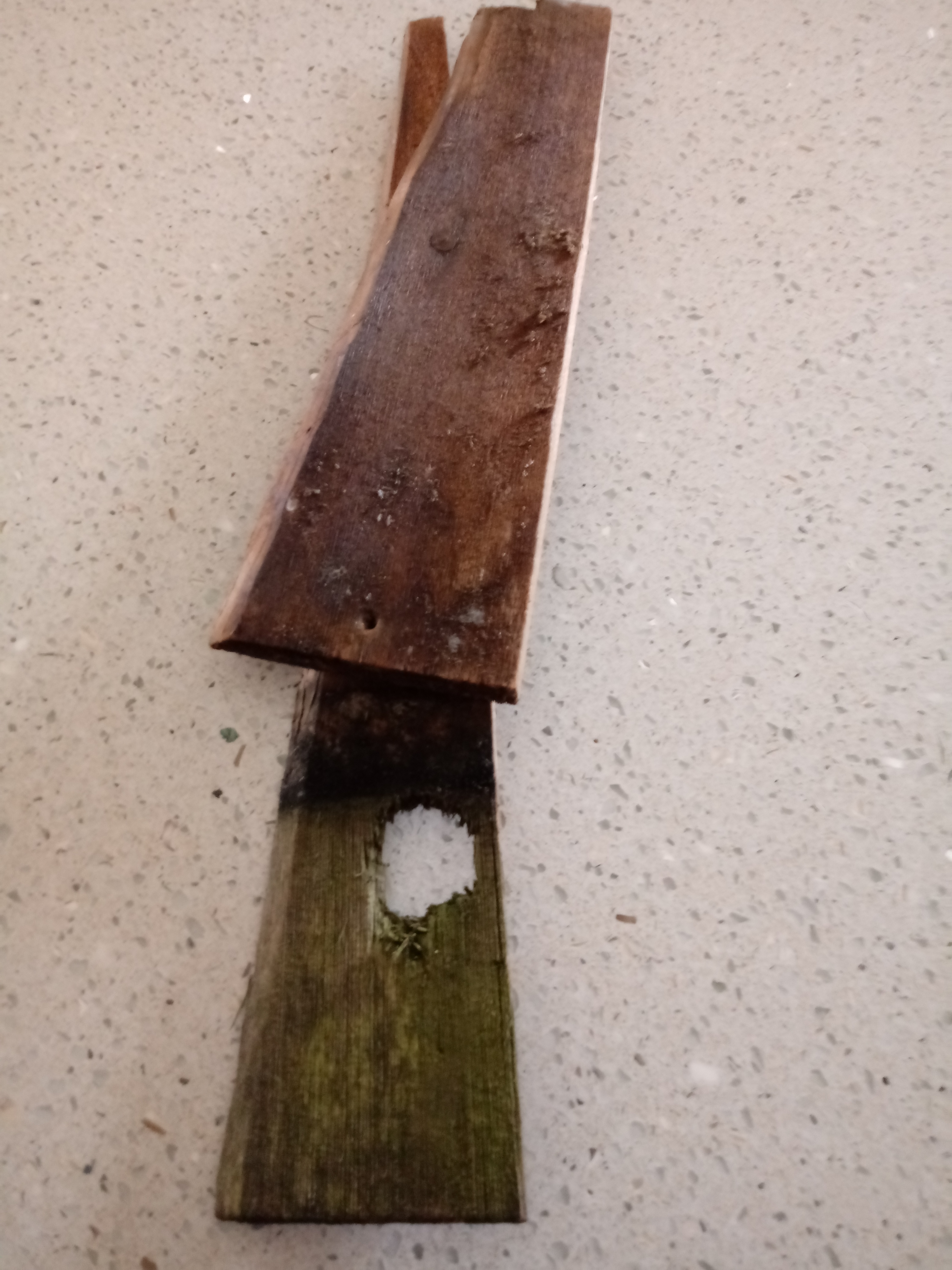 Woodpecker Hole in Shingle